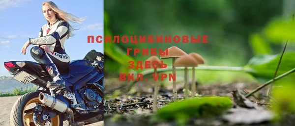 прущие грибы Козловка