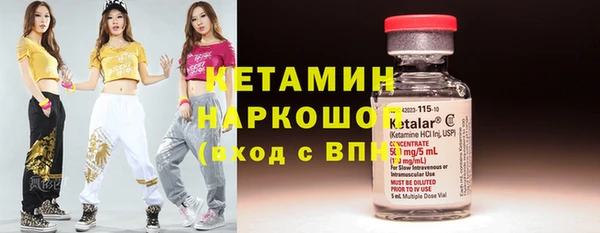 стафф Кодинск