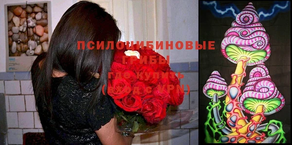 стафф Кодинск