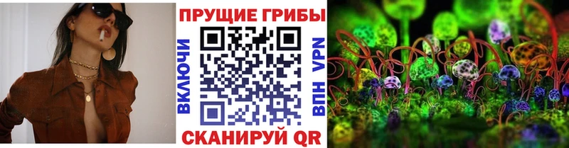 Купить  Зуевка  Псилоцибиновые грибы мицелий 